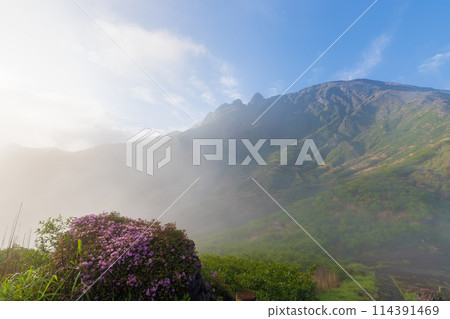 Miyamakirishi in Sensuikyo Gorge (Aso, Kumamoto Prefecture) Miyamakirishi in Sensuikyo Gorge (Aso, Kumamoto Prefecture) 114391469