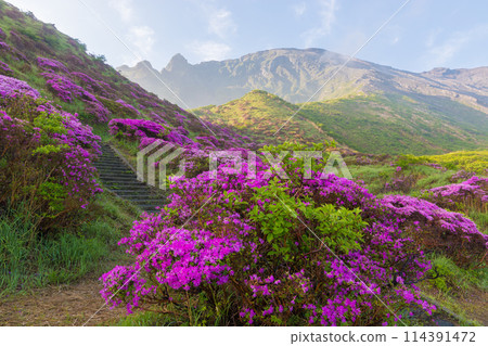 仙水峽（熊本縣阿蘇市） 114391472