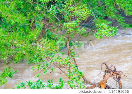 [自然災害] 大雨後渾濁的河流[長野縣] 114391666