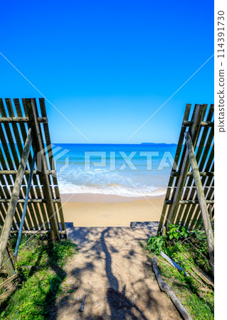 初夏的灘海，福岡縣福岡市 114391730