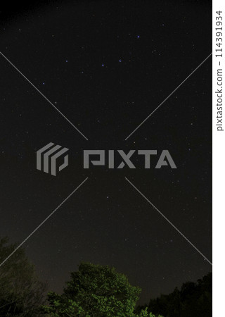 Starry sky 114391934