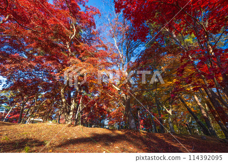 埼玉縣長瀞的秋天 - 月之石紅葉公園 114392095