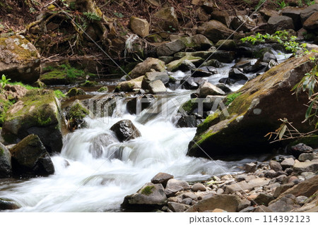 Clear waterfall, cool negative ion scenery, Sugadaira Plateau Clear waterfall, cool negative ion scenery, Sugadaira Plateau 114392123