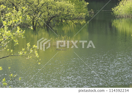 Spring at Lake Muro 114392234