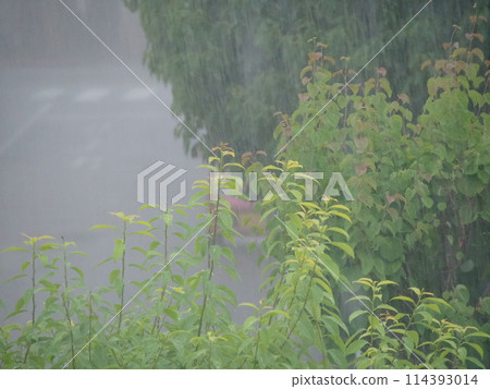 工廠和道路被傾盆大雨襲擊 工廠和道路被傾盆大雨襲擊 114393014