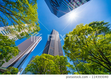 Tokyo cityscape in Japan - View of the skyscrapers of Shinjuku subcenter 114393040