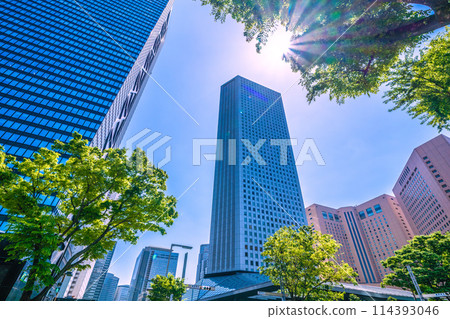 Tokyo cityscape in Japan - View of Shinjuku subcenter, Hyatt Regency Tokyo, etc. 114393046