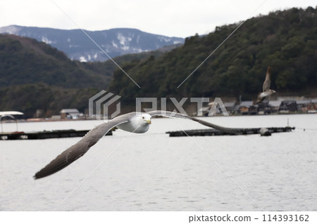 海之京都、伊根町、船屋集團 114393162