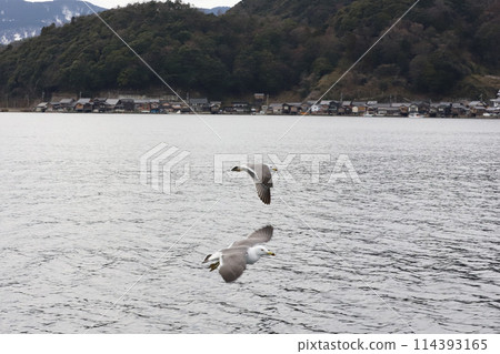 Kyoto by the Sea, Ine Town, Funaya Group 114393165