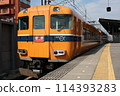 Kintetsu Limited Express Vista EX 114393283