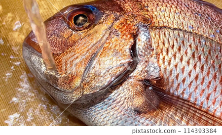 Fresh red sea bream washed under running water on a wooden cutting board Fresh red sea bream washed under running water on a wooden cutting board 114393384