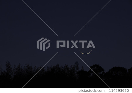 Crescent Moon Crescent Moon 114393650