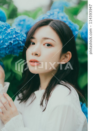 Hydrangea and young woman Hydrangea and young woman 114393947