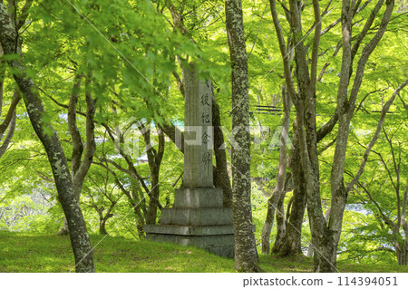 Season of fresh greenery: War memorial monument on the approach to Tanzan Shrine Season of fresh greenery: War memorial monument on the approach to Tanzan Shrine 114394051