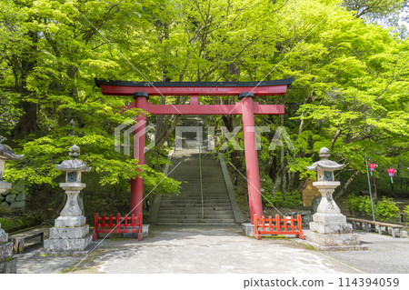 Fresh green season: Torii gates at Tanzan Shrine 114394059