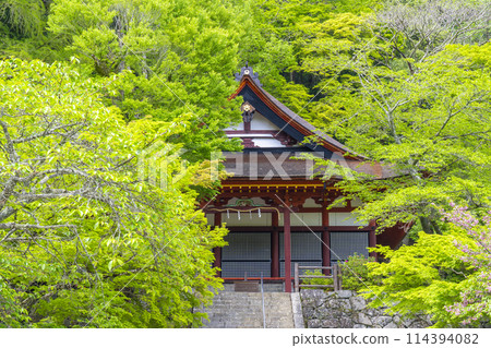 新綠季節 談山神社禦殿 114394082