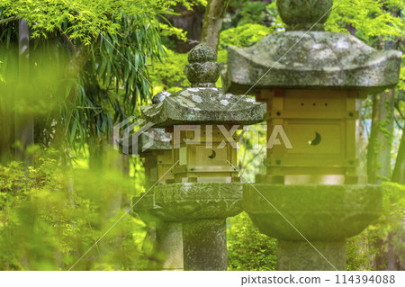 新綠季節:談山神社境內的石燈籠 新綠季節:談山神社境內的石燈籠 114394088