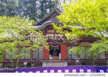 The season of fresh greenery: Tanzan Shrine, Sosha-haiden 114394091