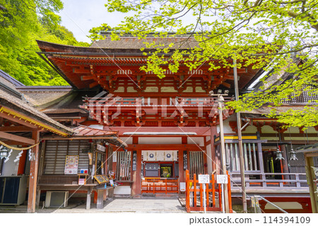 Season of fresh greenery: Tanzan Shrine Tower Gate 114394109