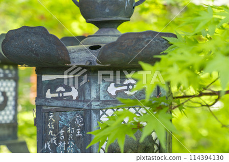 Fresh green season: Close-up of hanging lanterns at Tanzan Shrine Fresh green season: Close-up of hanging lanterns at Tanzan Shrine 114394130