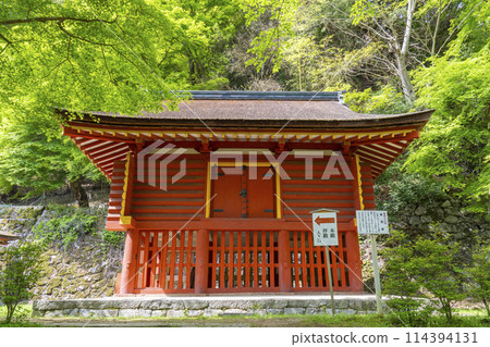Fresh green season: Tanzan Shrine Tohoko Fresh green season: Tanzan Shrine Tohoko 114394131