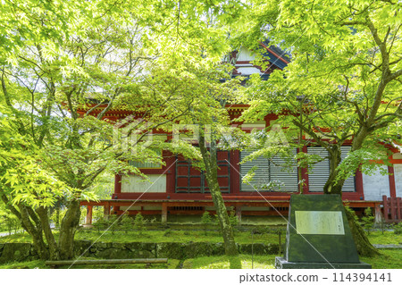 鮮綠季節談山神社神社參拜場所 114394141