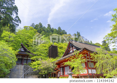 Fresh green season: Tanzan Shrine's main hall, thirteen-story pagoda, and shrine worship hall 114394142