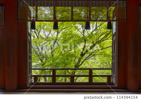 Fresh green season: Beautiful greenery seen from the worship hall at Tanzan Shrine 114394154