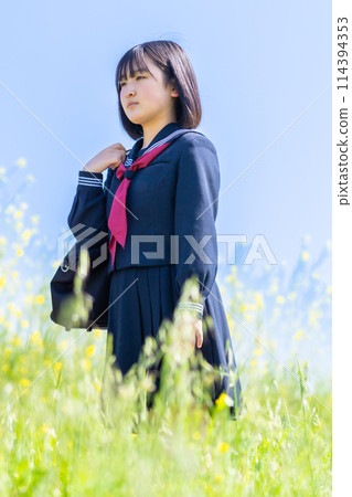 A high school girl walking to school on the road to welcome the new semester A high school girl walking to school on the road to welcome the new semester 114394353