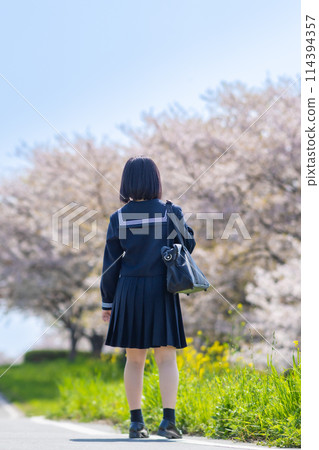 Back view of high school girls commuting to school in spring Back view of high school girls commuting to school in spring 114394357