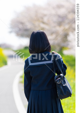 Back view of high school girls commuting to school in spring Back view of high school girls commuting to school in spring 114394359