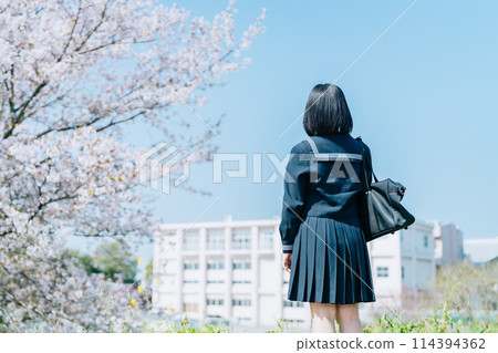 櫻花盛開時高中生展望未來的背影 櫻花盛開時高中生展望未來的背影 114394362