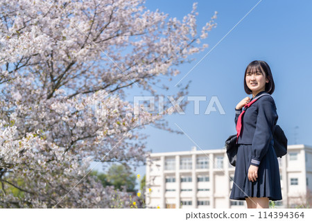 高中生在櫻花盛開時展望未來 高中生在櫻花盛開時展望未來 114394364