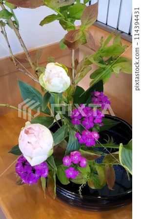 花(今天的花) 花(今天的花) 114394431