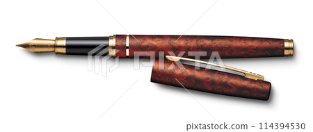Golden fountain pen with wooden barrel 114394530