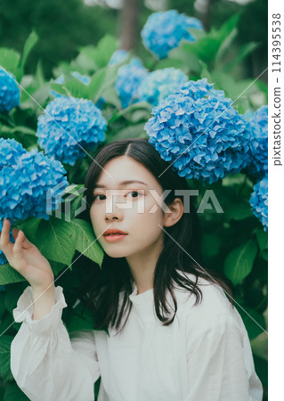 繡球花和年輕女子 114395538