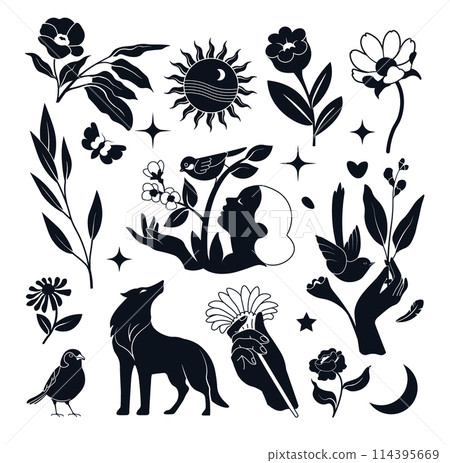 Black and White Flower Artwork Black and White Flower Artwork 114395669