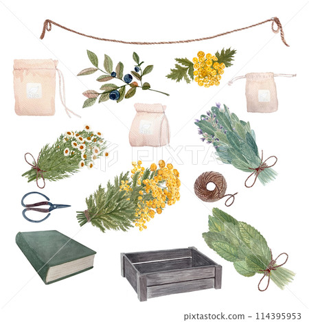 Wooden crate, book, scissors, tea bags, jute rope and bunches of herbs watercolor set isolated on white. Rustic art for vintage design, flower shops, stickers, homemade tea, organic herbs labels, logo 114395953