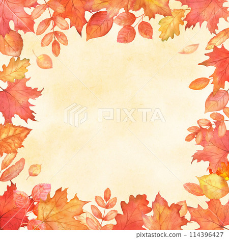 Square fall frame with red leaves. Autumn falling maple leaves Square fall frame with red leaves. Autumn falling maple leaves 114396427