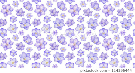 Watercolor seamless pattern with freesia flowers on white. Hand drawn color repeat backdrop, violet background 114396444