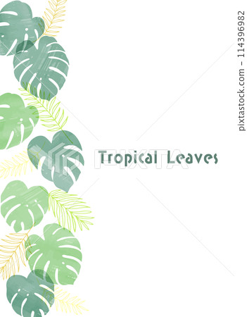 手繪熱帶植物龜背竹框架圖_垂直 114396982