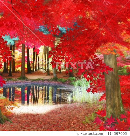 Autumn leaves and fallen leaves landscape 114397003