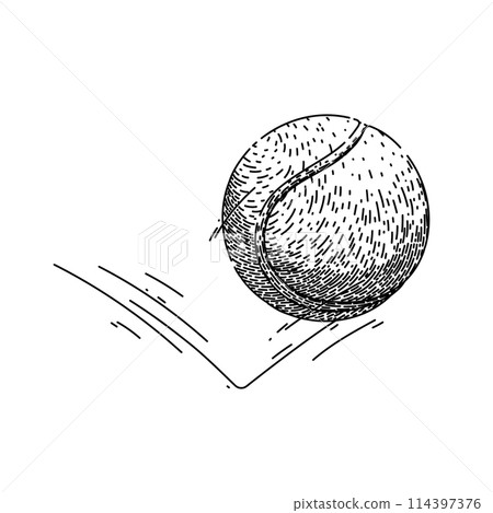 isolated tennis ball sketch hand drawn vector isolated tennis ball sketch hand drawn vector 114397376