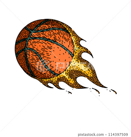 basket basketball ball sketch hand drawn vector basket basketball ball sketch hand drawn vector 114397509