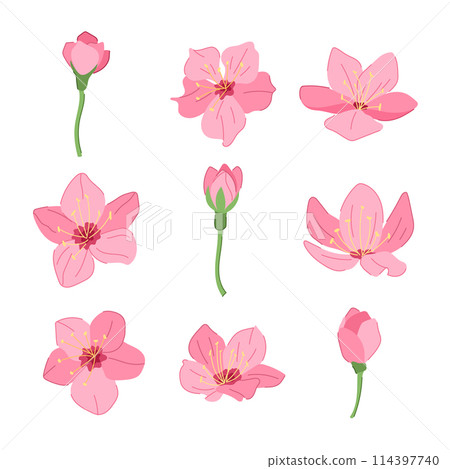 sakura cherry blossom set cartoon vector illustration sakura cherry blossom set cartoon vector illustration 114397740