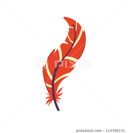 color feather exotic bird cartoon vector illustration 114398131