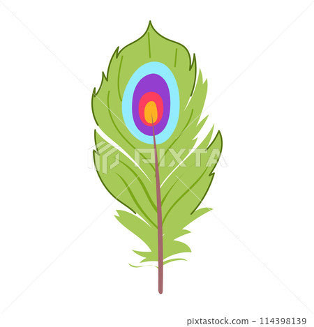 drawing feather exotic bird cartoon vector illustration 114398139