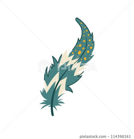 blue feather exotic bird cartoon vector illustration 114398161