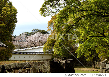 Himeji Castle, a Japanese castle: Spring scenery decorated with cherry blossoms in full bloom Himeji Castle, a Japanese castle: Spring scenery decorated with cherry blossoms in full bloom 114398221