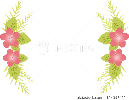Hibiscus illustration frame 114398421